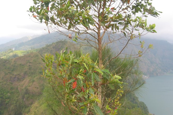 Batur Caldera Sunrise Trekking - Trekking the caldera wall: moderate fitness, real footing