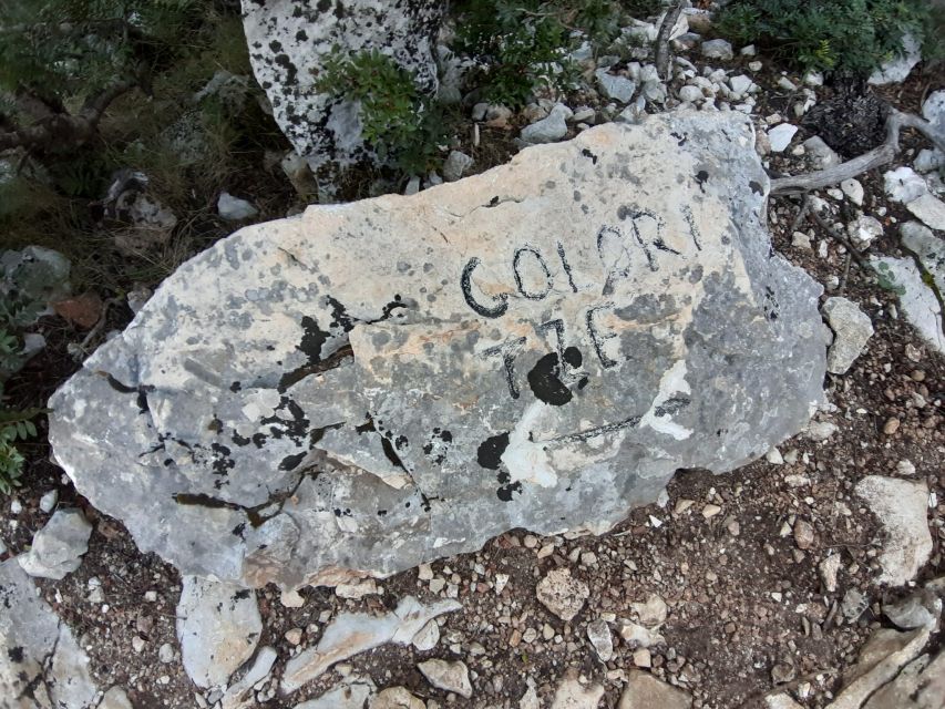 Baunei: Cala Goloritzè Trekking Tour with A Guide - Difficulty and who should sit this one out