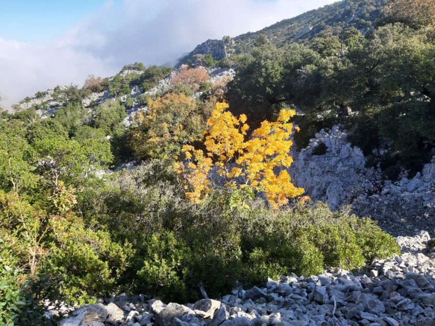 Baunei: Cala Goloritzè Trekking Tour with A Guide - Guide Leonella: what good guiding looks like here