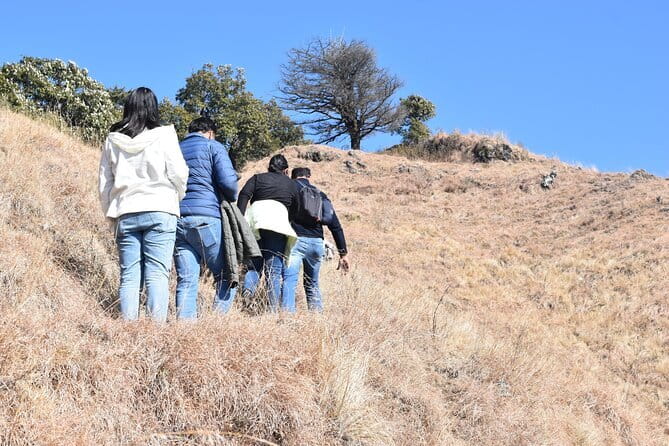 Benog Hill Trek - Benog Wildlife Sanctuary: where the views start doing work
