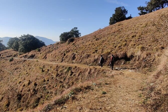 Benog Trek into the Wild - Benog Wildlife Sanctuary stop: birds, forests, and what your guide points out