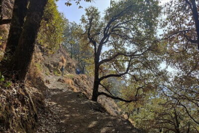 Benog Trek into the Wild - Trek rhythm: how the 3-4 hour loop feels on the ground