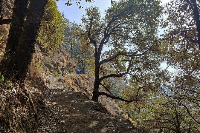 Benog Trek into the Wild - Trek rhythm: how the 3-4 hour loop feels on the ground