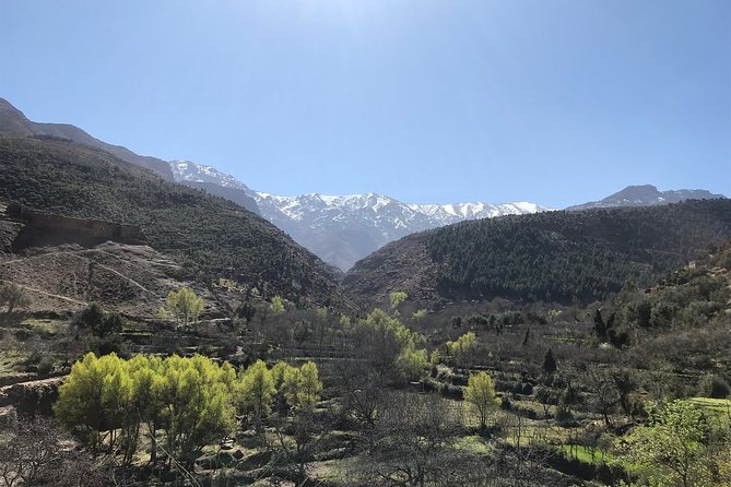 Berber villages trek Day trip - Asni on Saturdays: a market stop for real-world Morocco