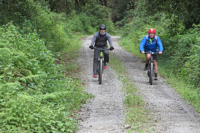 Best 5 Days Kilimanjaro Bike Trek Tour via Marangu Kilema Route - Day 2: Alpine desert riding loops toward Mawenzi