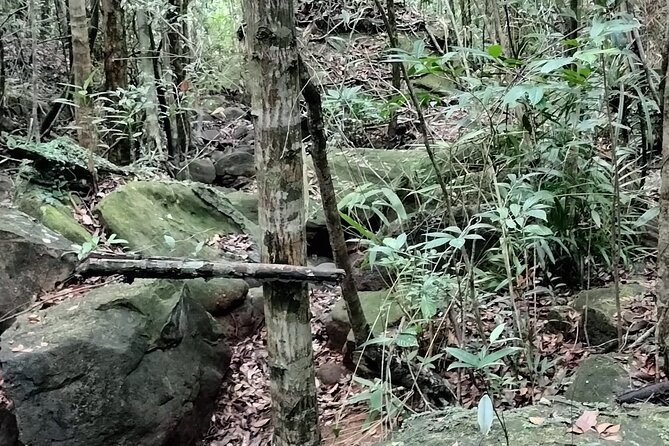 Best Trekking Tour In Phu Quoc (Đa Ngon Waterfall) - Why Da Ngon feels like the real Phu Quoc (not a checklist)