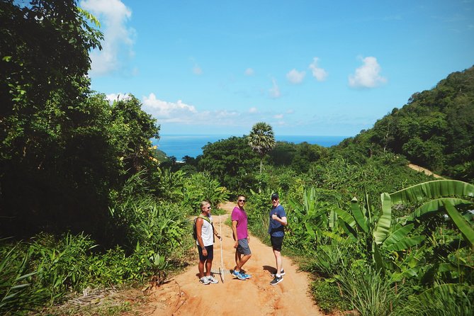 Big Buddha Jungle Trekking and Temple tour with Lunch - Jungle Trek to the Big Buddha: what you’re really signing up for