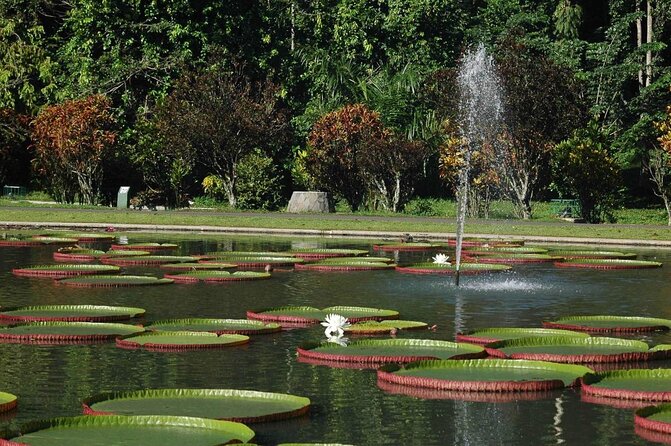 Bogor Botanical Garden & Rainforest Trekking to Hidden Waterfall - Key highlights worth knowing