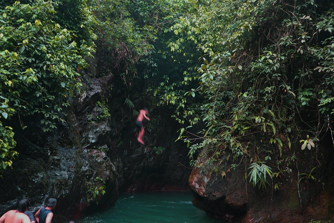 Bogor Botanical Garden & Rainforest Trekking to Hidden Waterfall - Kebun Raya Bogor: tropical plants without needing a science degree