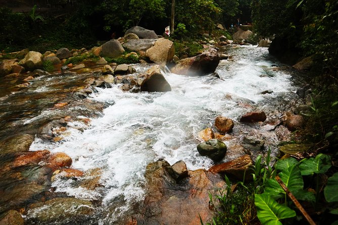 Bogor Botanical Garden & Rainforest Trekking to Hidden Waterfall - Cikaracak Waterfall: the 40-meter roar (and the part where you get wet)