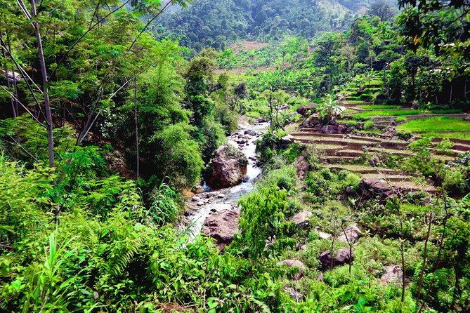 Bogor Botanical Garden & Rainforest Trekking to Hidden Waterfall - Lunch in Bogor: included, practical, and easy on your day