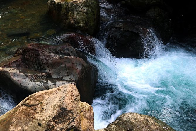 Bogor Botanical Garden & Rainforest Trekking to Hidden Waterfall - Guide and driver quality: how names like Bryan and Rizky show up in the experience