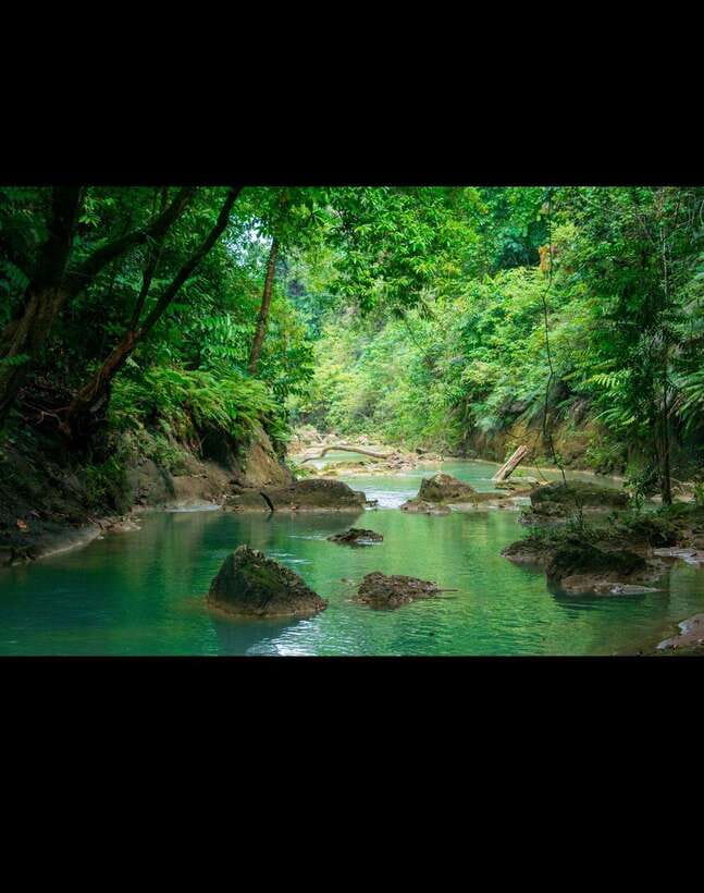 Bohol: Hidden Waterfall Hopping and Jungle Trek Adventure - Hidden Falls trek: rivers, bamboo bridges, and that quiet payoff