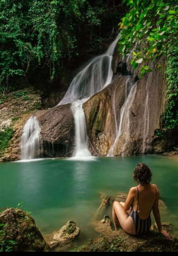 Bohol: Hidden Waterfall Hopping and Jungle Trek Adventure - Wildlife moments: water buffalo, birds, and monkeys on your walk