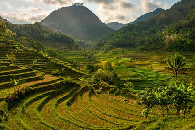 Borobudur Climb Up and Selogriyo Temple Rice Terraces Trekking - Value check: is $95 per person fair for what’s included?