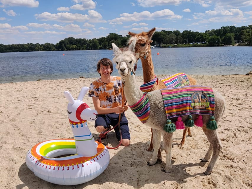Braunschweig: Alpaca Trekking Tour - Riddagshausen Dates: Coffee and Cake Makes It Feel Like a Full Outing