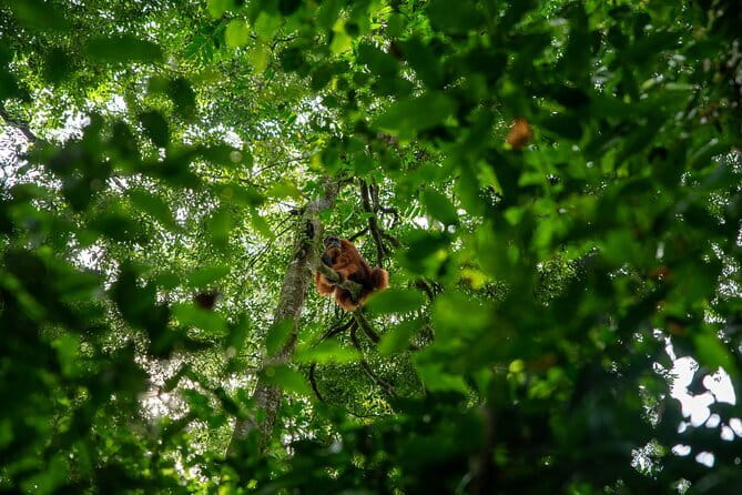 Bukit Lawang Berastagi 4 Days 3 Nights Volcano & Jungle Trekking - Packing checklist that keeps the jungle day pleasant