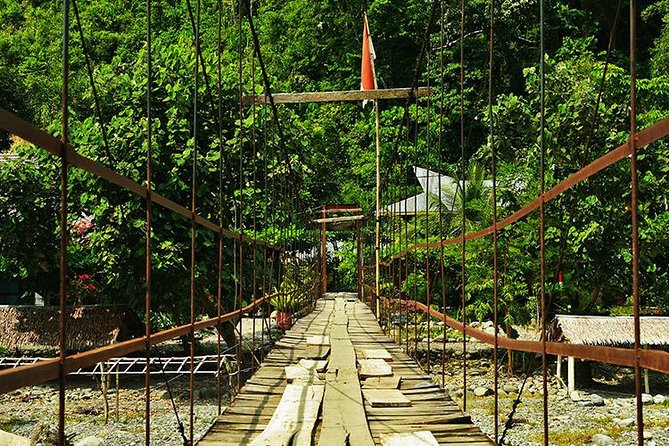 Bukit Lawang Full Day Jungle Trek - Wildlife spotting in Gunung Leuser: what you can realistically expect