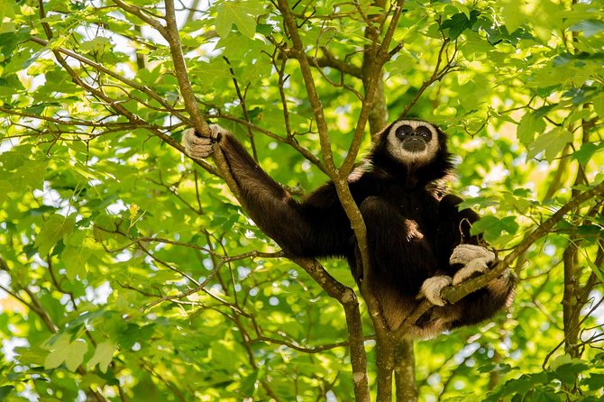Bukit Lawang Full Day Jungle Trek - Lunch break: included fuel, not an afterthought