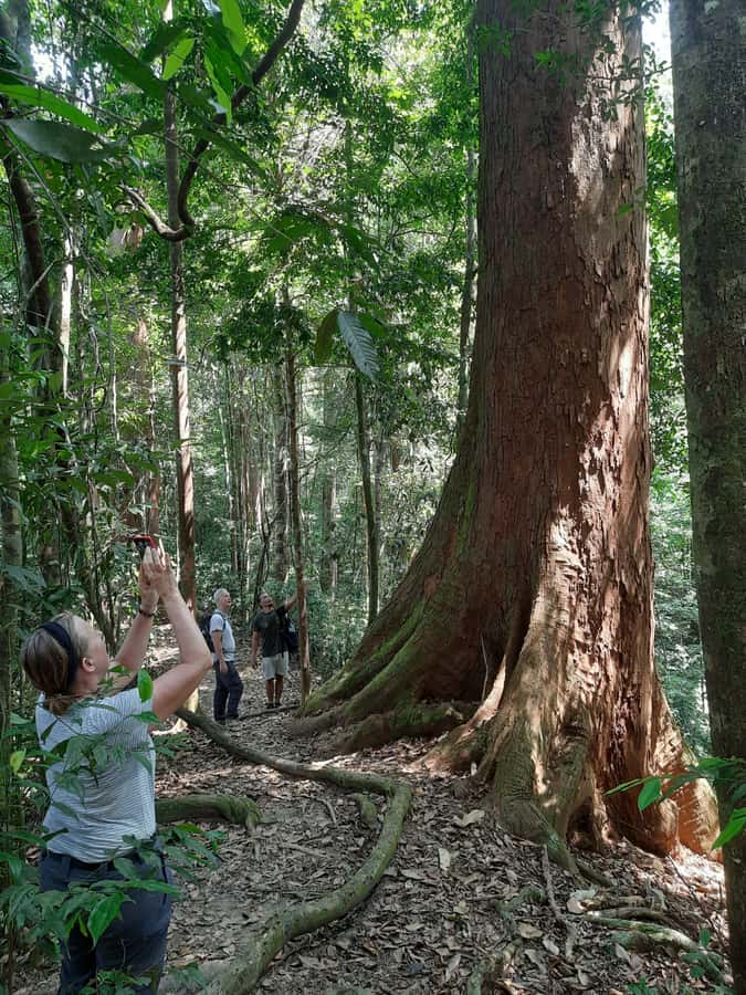 Bukit Lawang: Jungle Trekking and Rafting Day Trip - Key takeaways before you book