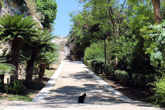 Cagliari urban trekking experience: the city you did not expect - Price and what $81 really buys in a short walk