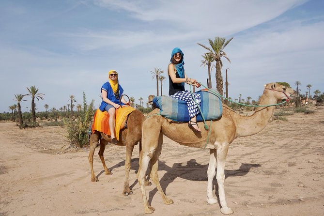 Camel Trek Around Marrakech Palmeraie - Palmeraie Palm Groves: Why This Camel Trek Works