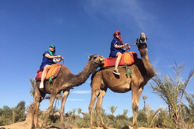 Camel Trek Around Marrakech Palmeraie - Getting There in Air-Conditioned Comfort