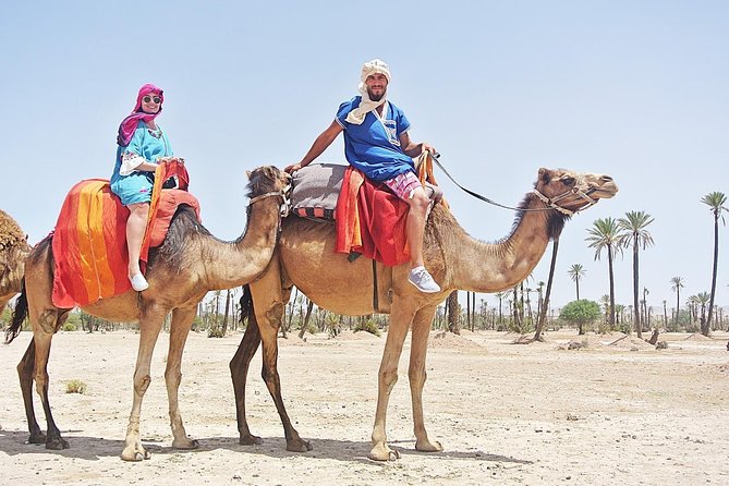 Camel Trek Around Marrakech Palmeraie - What to Wear and Bring for a More Comfortable Ride