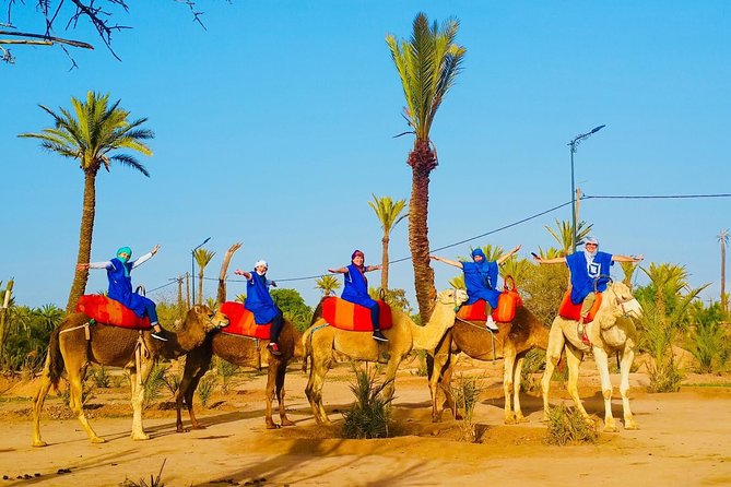 Camel Trek Around Marrakech Palmeraie - The Mint Tea Pause: A Small Cultural Break That’s Worth It