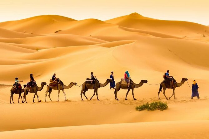 Camel trek with 1 Night in Luxury camp with Dinner+ Sundbording - Camel trek to Erg Chebbi: what that first ride really means
