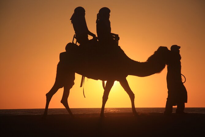 Camel trek with 1 Night in Luxury camp with Dinner+ Sundbording - Return to Merzouga: the last camel ride and the soft landing