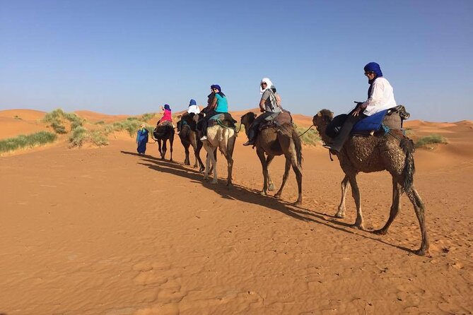 Camel trek with 1 Night in Luxury camp with Dinner+ Sundbording - Guide and hosts: why Hassan’s name keeps coming up