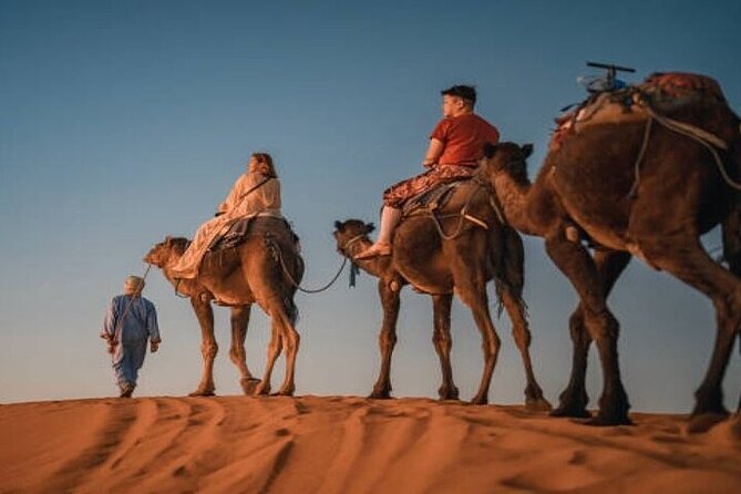 Camel Trekking & 1 Night in Merzouga Desert Camp - Timing in Merzouga: a 5:00 pm start that actually works