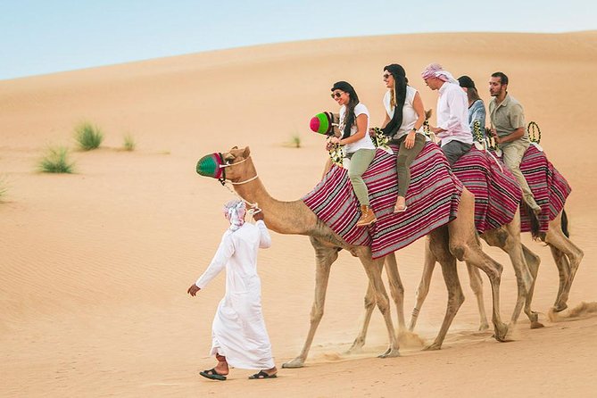 Camel Trekking and Morning Safari with Sand Boarding - Camel trekking: 20 minutes that feel like a reset
