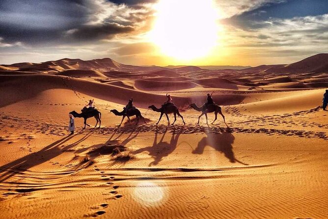 Camel Trekking Dubai with Dune Bashing and Sand Boarding - Hotel pickup and the flow of a 6-hour day