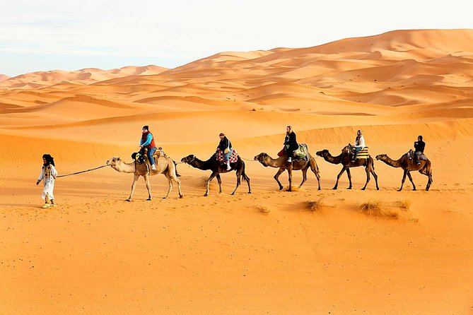 Camel Trekking Dubai with Dune Bashing and Sand Boarding - 4x4 dune bashing: thrill riding with room for your nerves