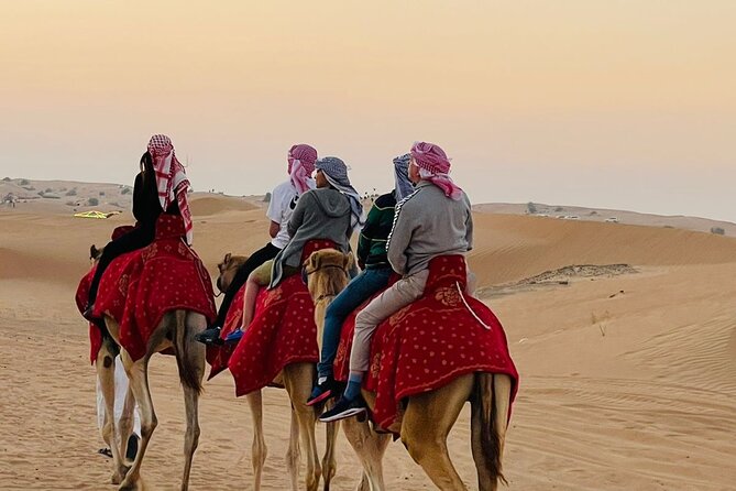 Camel Trekking in Dubai Desert with BBQ and Live Shows - Key highlights worth knowing