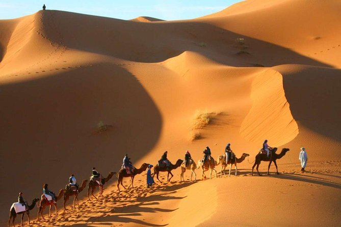 Camel Trekking & Overnight Luxury Camp - Sunset on the Highest Dunes: Your Best Picture Window
