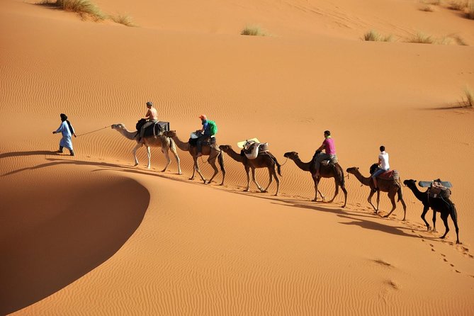 Camel Trekking & Overnight Luxury Camp - Morning Sunrise: A Second Chance You’ll Appreciate
