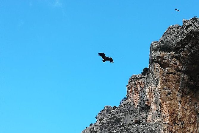Caminito del Rey Trekking Walkway - Price and value: when this tour makes sense