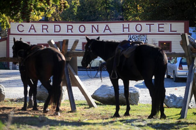 Cardrona High Country Pub Trail Horse Riding Trek (Intermediate+) - Key Ride Takeaways (What Makes This Trek Worth It)