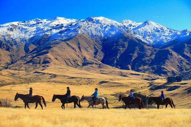 Cardrona High Country Pub Trail Horse Riding Trek (Intermediate+) - Cardrona High Country, With a Pub Stop That Feels Earned
