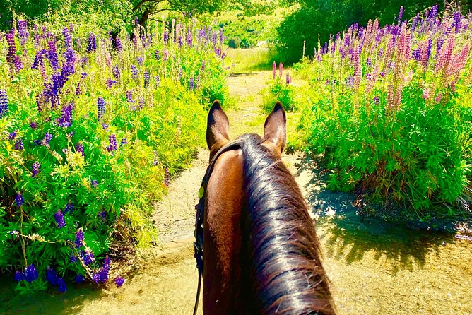Cardrona High Country Pub Trail Horse Riding Trek (Intermediate+) - The Cardrona Hotel Stop: Drink, Break, and Backcountry Atmosphere