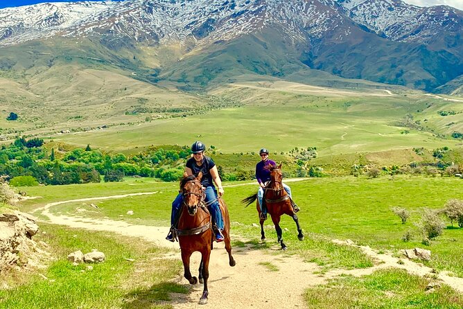 Cardrona High Country Pub Trail Horse Riding Trek (Intermediate+) - Views, Farm Country, and Why the Timing Works