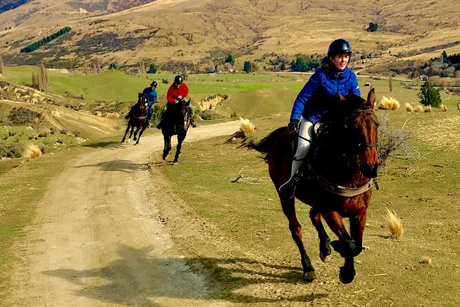 Cardrona High Country Pub Trail Horse Riding Trek (Intermediate+) - Weather: All-Weather Operation, But Still Dress Like a Real Backcountry Rider