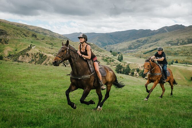 Cardrona High Country Pub Trail Horse Riding Trek (Intermediate+) - Price and Value: What $365.29 Buys You Here