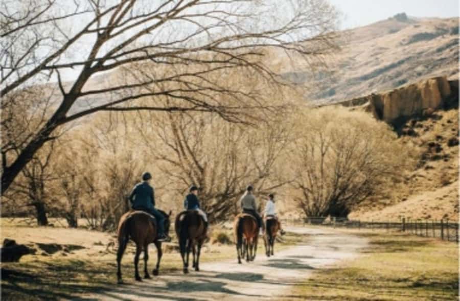 Cardrona Valley: Horse Trekking Experience - Choosing the Right Trail Pace: Trotting, Cantering, and Who It Fits