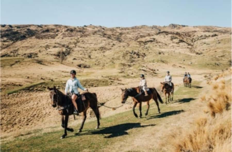 Cardrona Valley: Horse Trekking Experience - The Ride Itself: Loose Rein Feel, Gentle Horses, and Real Trail Time