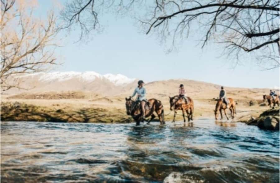 Cardrona Valley: Horse Trekking Experience - What to Bring and How to Prepare for a Horse Trek