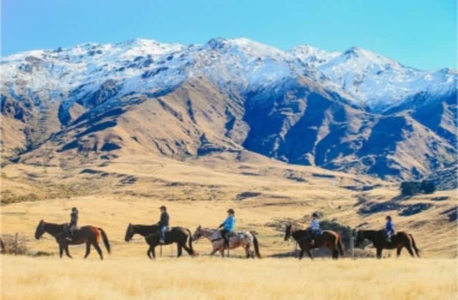 Cardrona Valley: Horse Trekking Experience - Should You Book This Cardrona Horse Trek?